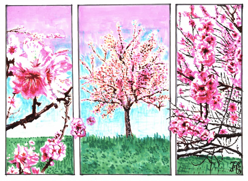 Vibrant Springtime Blooms by Tim Hoinkis — canvas wall art
