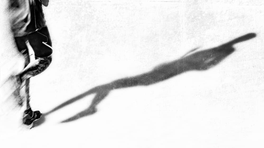 Runner's Long Shadow by Ina Tänzer — canvas wall art