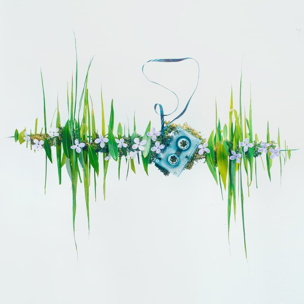 Cassette Nature Wave by Dina Belenko — canvas wall art