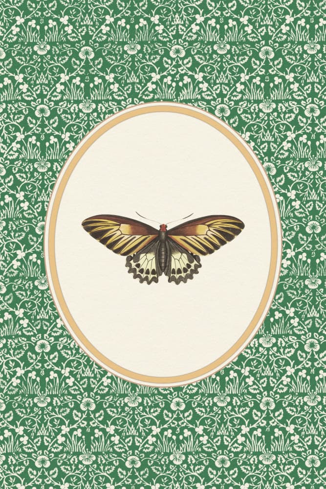 Green Botanical Butterfly by Wild Violets — canvas wall art