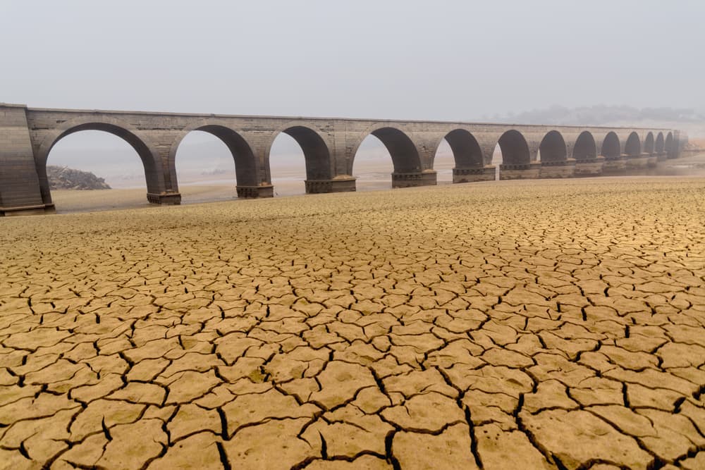 Cracked Earth Arched Bridge by Marcos Marcos Adanez — canvas wall art