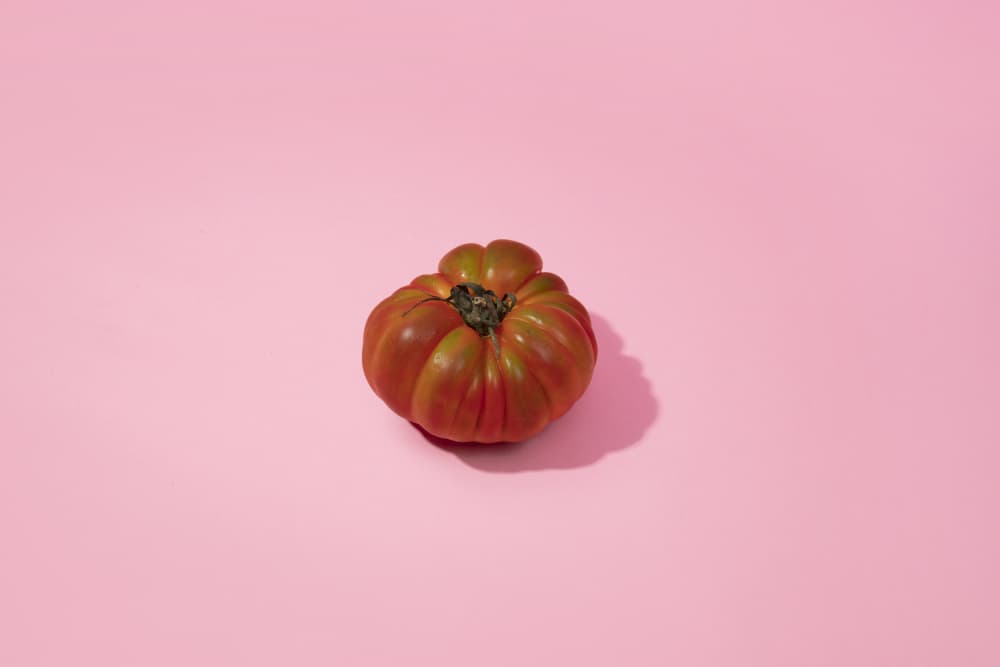 Heirloom Tomato on Pink by Julia Ramiro — canvas wall art
