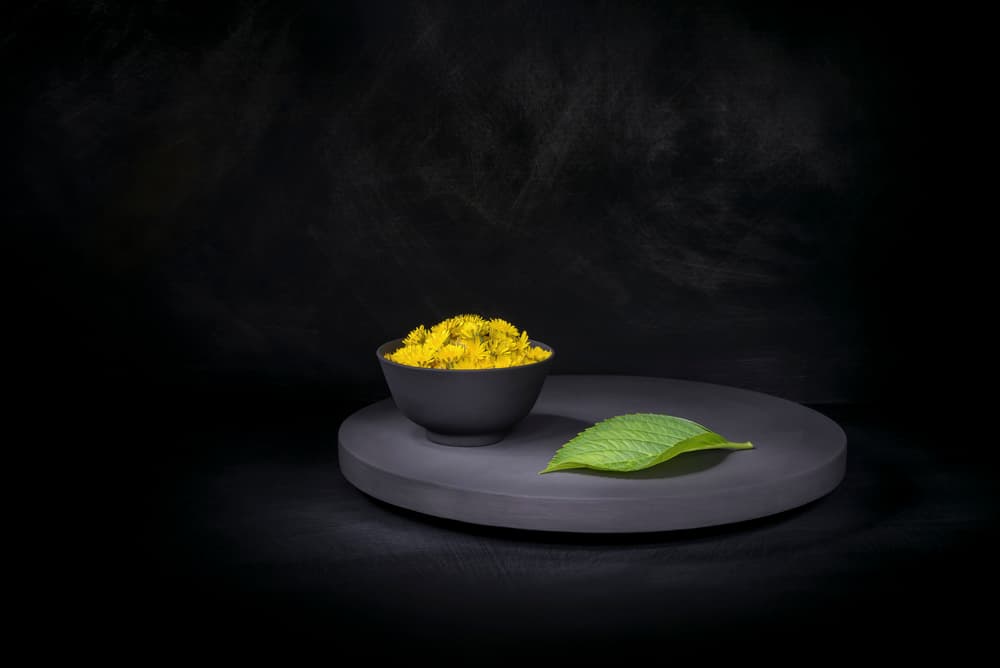 Yellow Dandelions Dark Still Life by Christophe Verot — canvas wall art