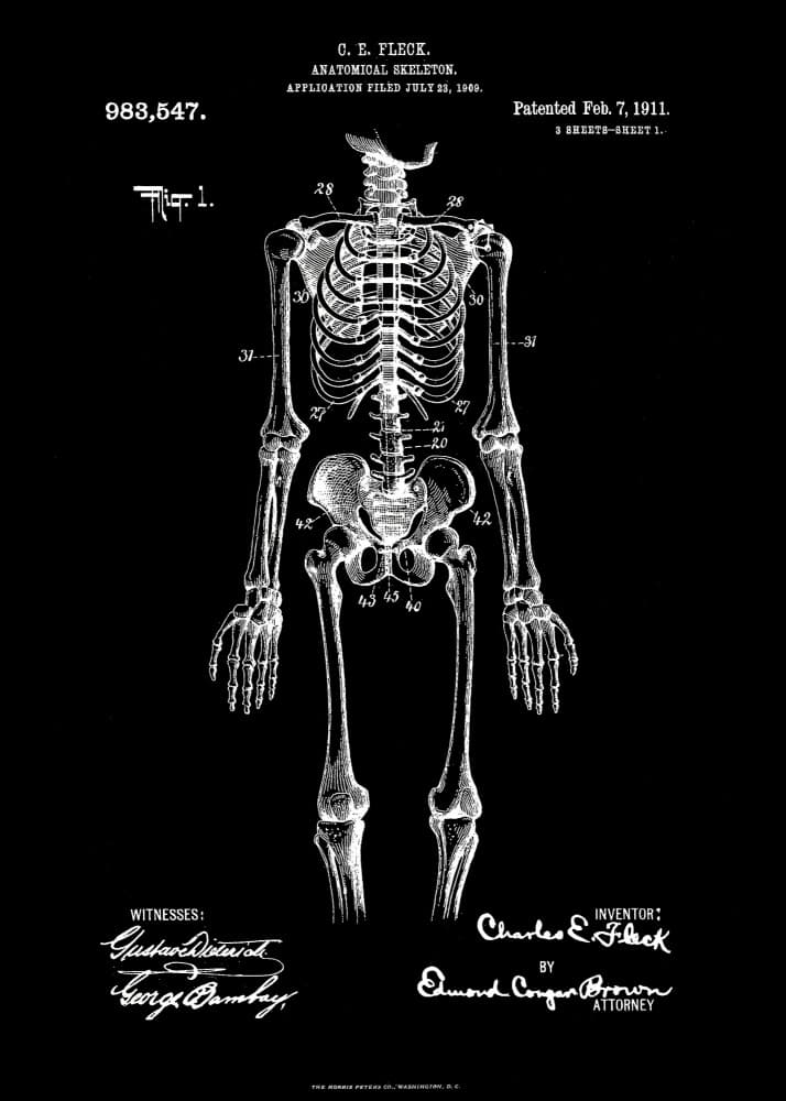 Historic Skeleton Patent by Andreas Magnusson — canvas wall art