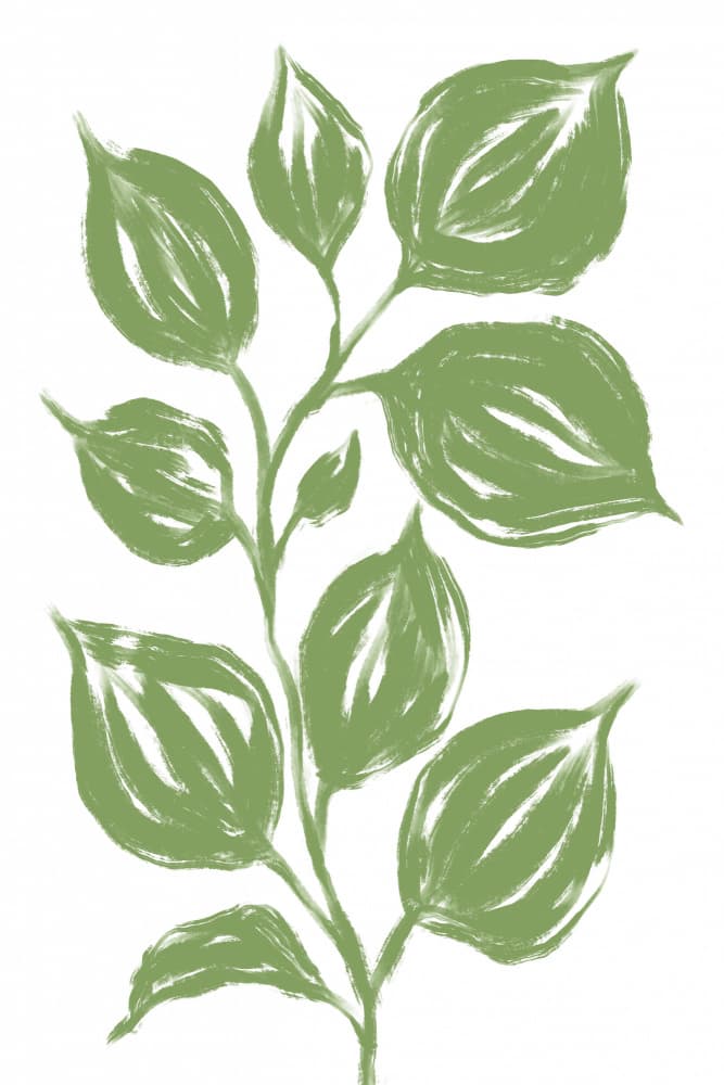 Verdant Green Leaves by Martina — canvas wall art