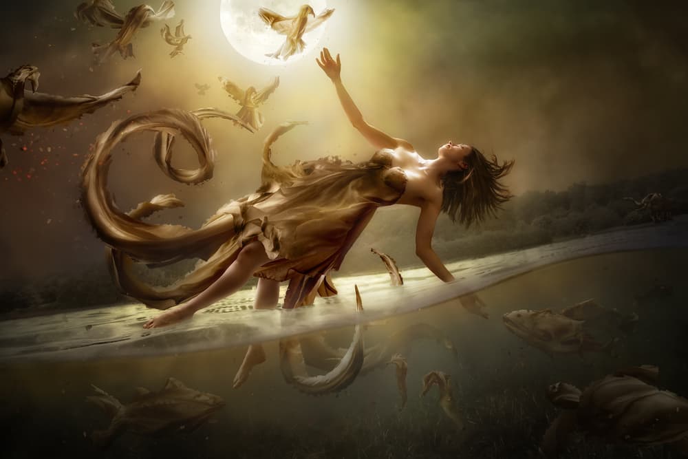 Ethereal Moon Flight by Christophe Kiciak — canvas wall art