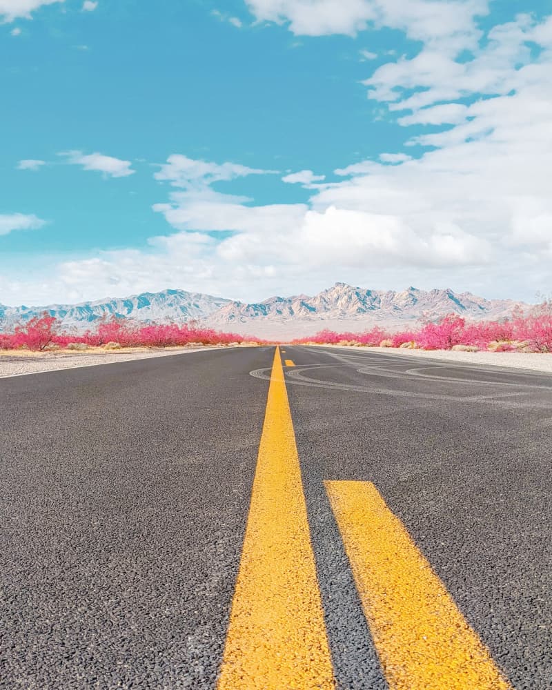 Road to Death Valley by Tom Windeknecht — canvas wall art