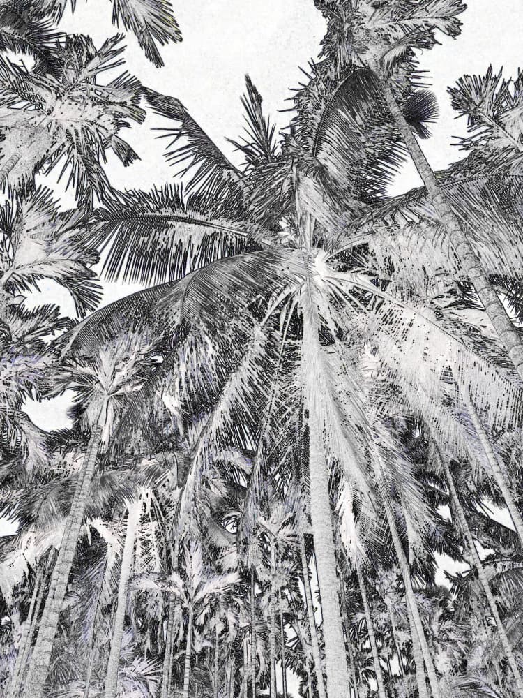 Canopy Dreams by Santhosh ch — canvas wall art