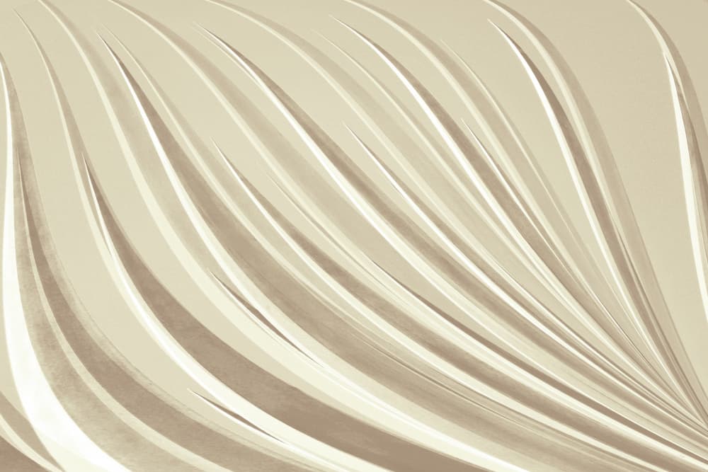 Elegant Flowing Curves by Christina Sillen — canvas wall art