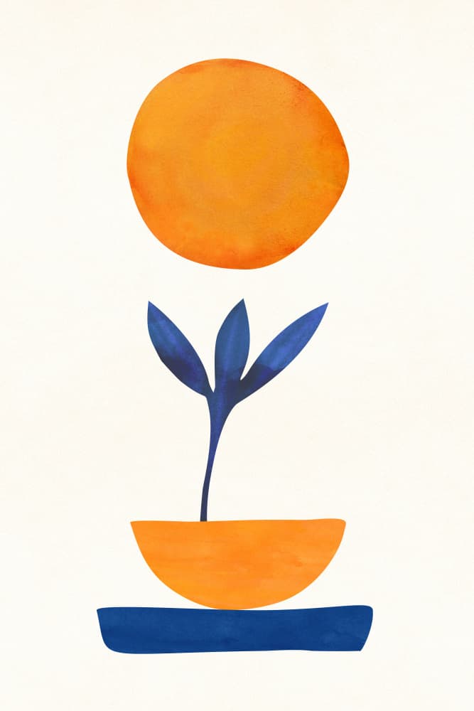 Sunny Sprout 2 by Kristian Gallagher — canvas wall art