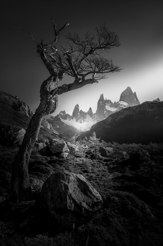 Dramatic Mountain Tree by Gu and Hongchao — canvas wall art