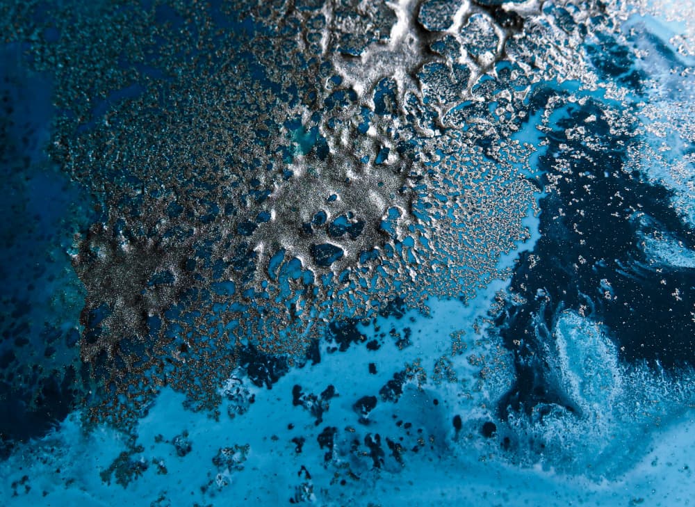Texture Art - Awakening by Petra Meikle de Vlas — canvas wall art