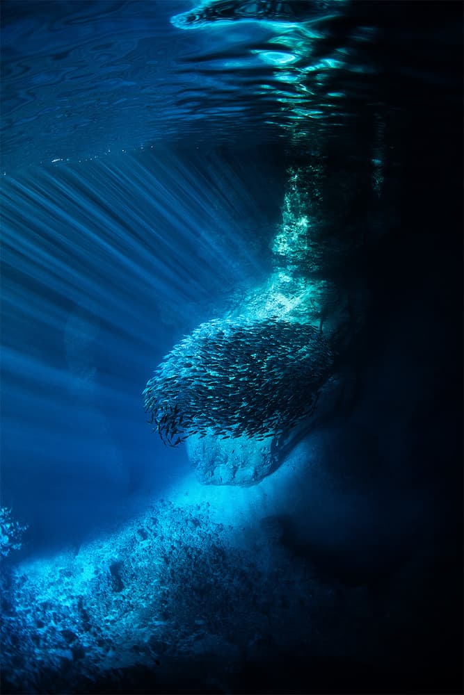 Sunlit Fish School by Andrey Narchuk — canvas wall art