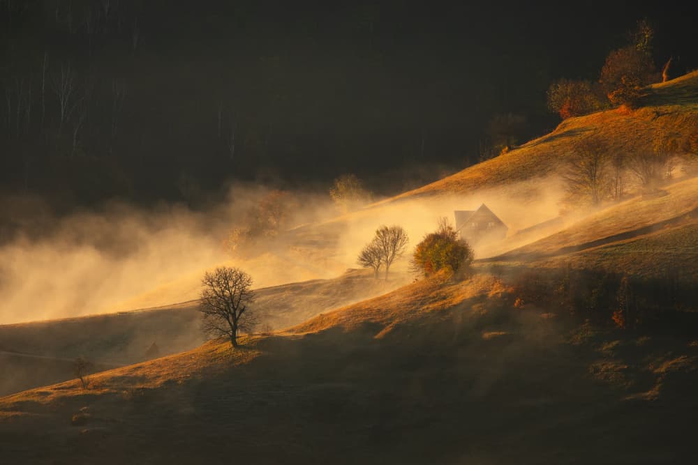 Misty Hills Sunrise by Lazar Ioan Ovidiu — canvas wall art