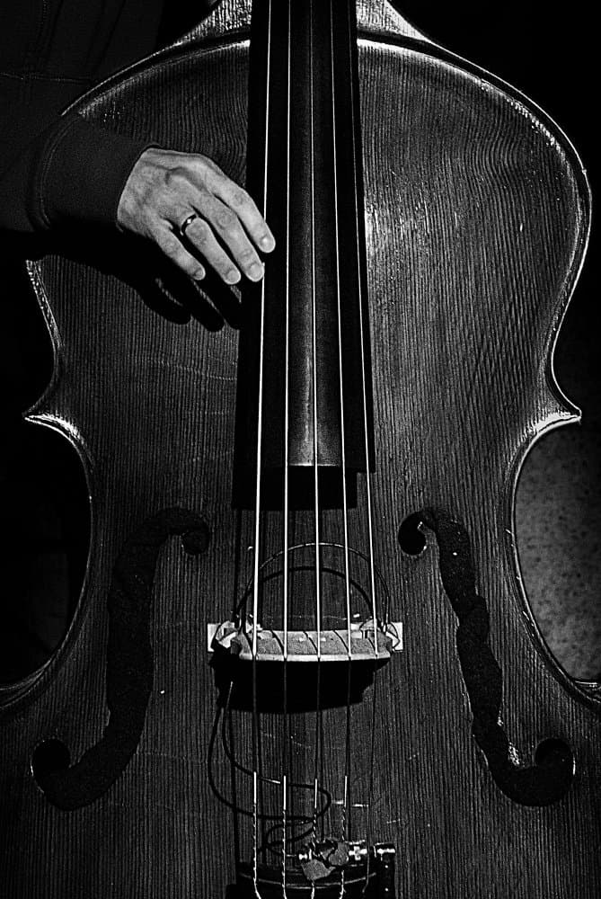 Playing the Bass by Nicoleta Gabor — canvas wall art
