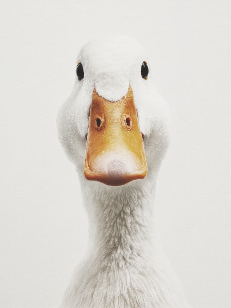 Funny Duck Face by Andreas Magnusson — canvas wall art