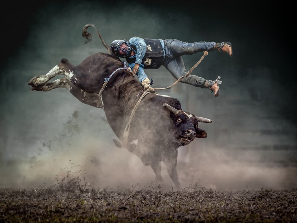 Bucking Bull Rider by Frank Ma — canvas wall art