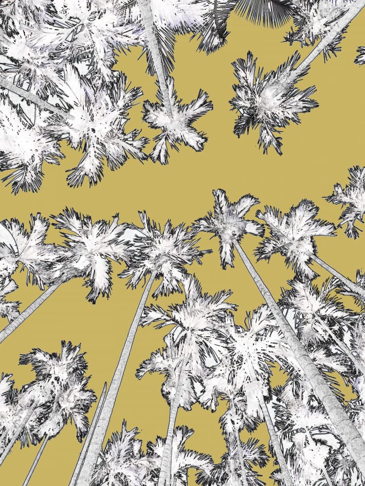 Golden Tropical Palms by Santhosh ch — canvas wall art