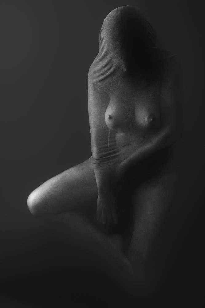 TRAPPED IN THE NET (Part 4) by Paolo Lazzarotti — canvas wall art