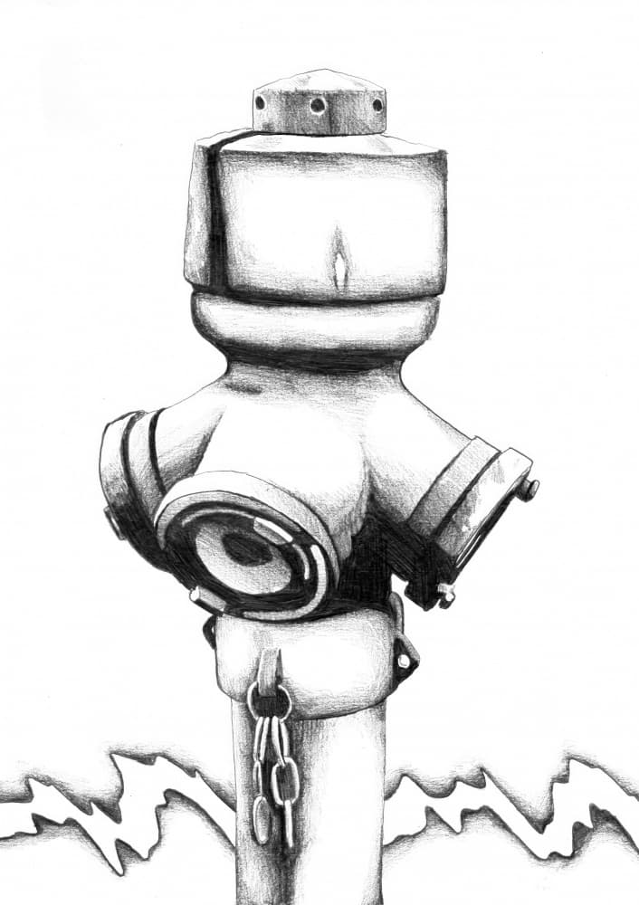 Detailed Fire Hydrant by Kulik — canvas wall art