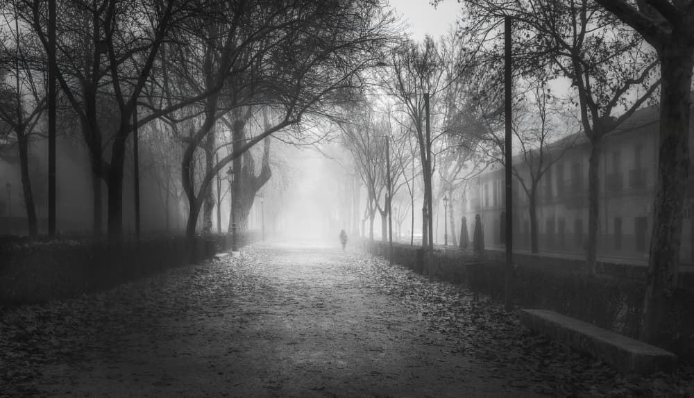Foggy Path Solitary Walk by Eugenio Pastor Benjumeda — canvas wall art