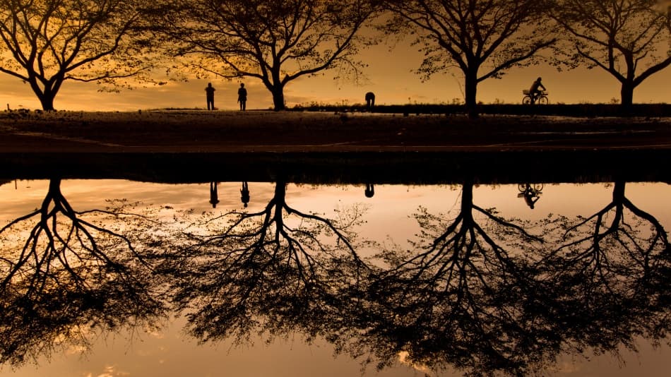 Golden Hour Reflections by Kouji Tomihisa — canvas wall art