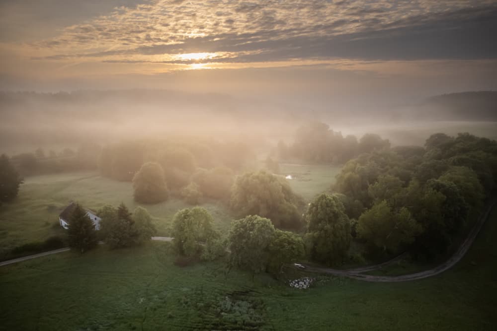 Misty Golden Morning by Leszek Paradowski — canvas wall art
