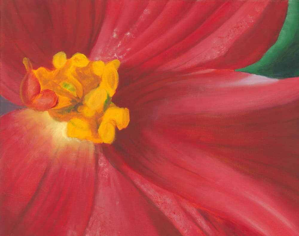 Vibrant Red Bloom by Jillian Claire — canvas wall art