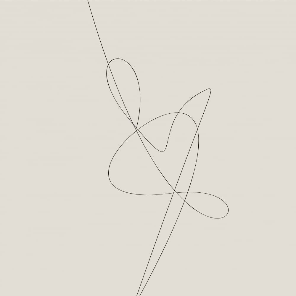 Fluid Abstract Line by Oju Design — canvas wall art