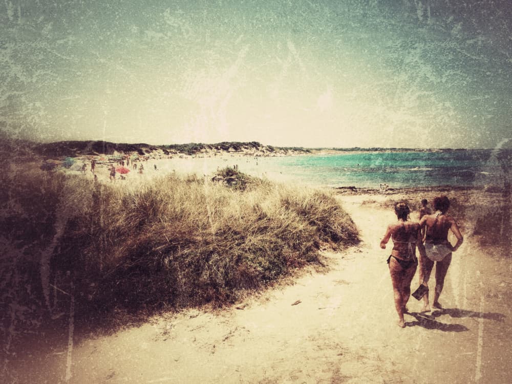 Vintage Beach Path by Vito Muolo — canvas wall art