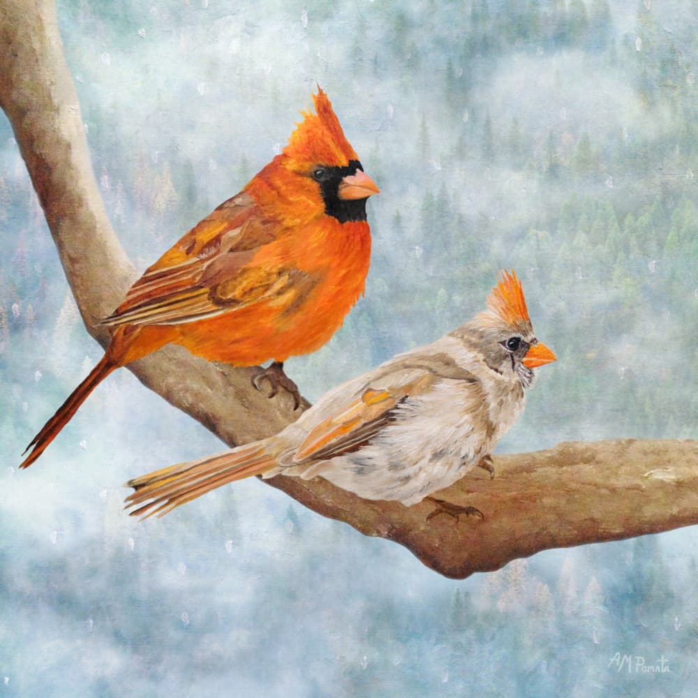 Winter Cardinal Pair by Angeles M. Pomata — canvas wall art