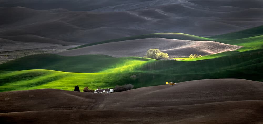 Rolling Green Fields by Annie Poreider — canvas wall art