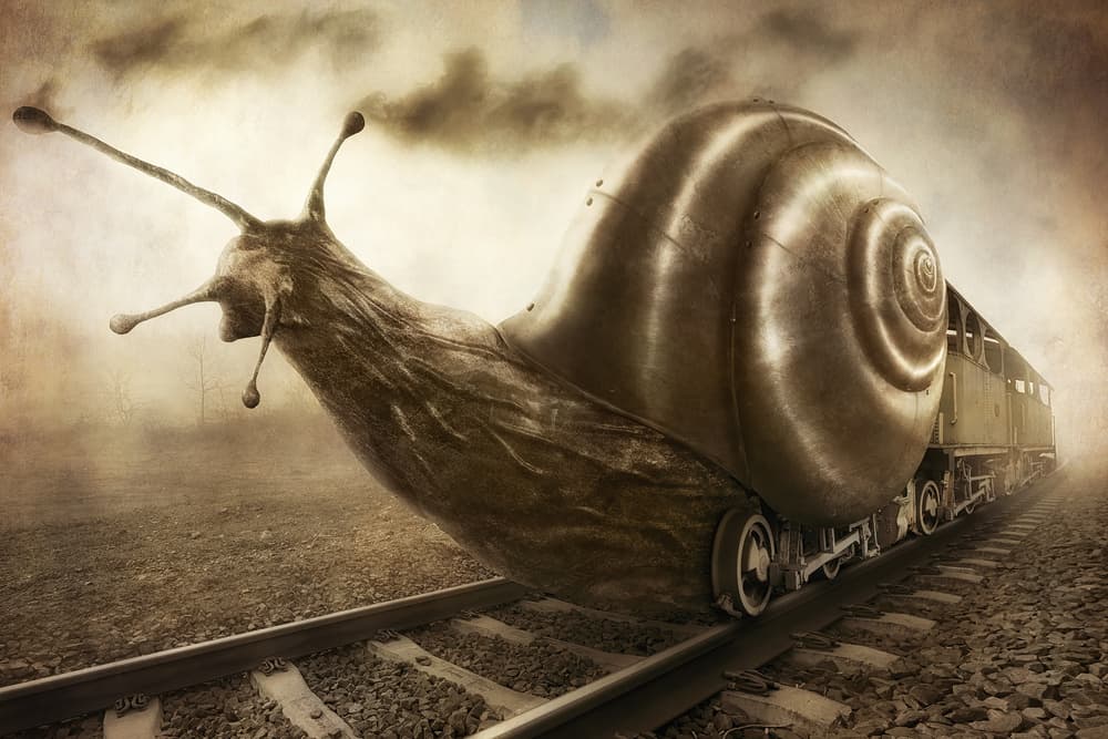 Steampunk Snail Train by Christophe Kiciak — canvas wall art