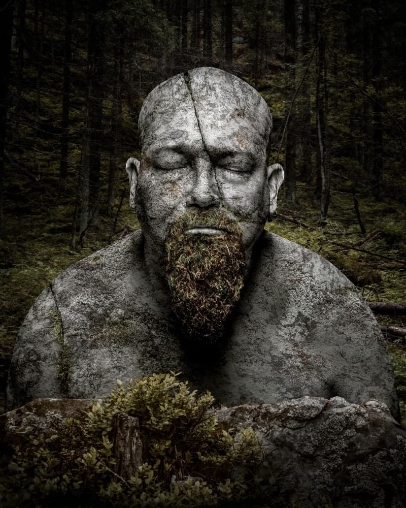 Sleeping Forest Guardian by Petri Damstén — canvas wall art