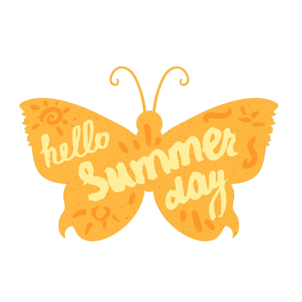 Hello Summer Butterfly by Marika Barsrsind — canvas wall art