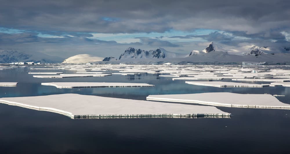 Antarctic Frozen Seascape by Qiang Liu — canvas wall art