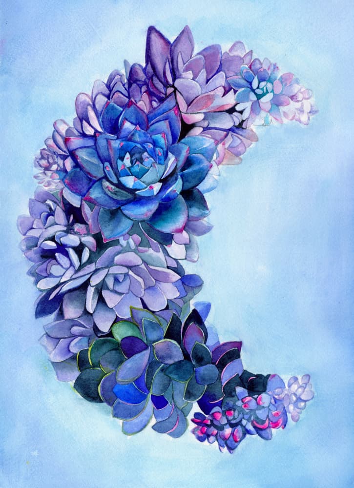 Blue Succulent Moon by Christine Lindstrom — canvas wall art