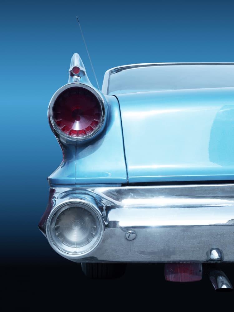 Classic Blue Tailfin by Beate Gube — canvas wall art