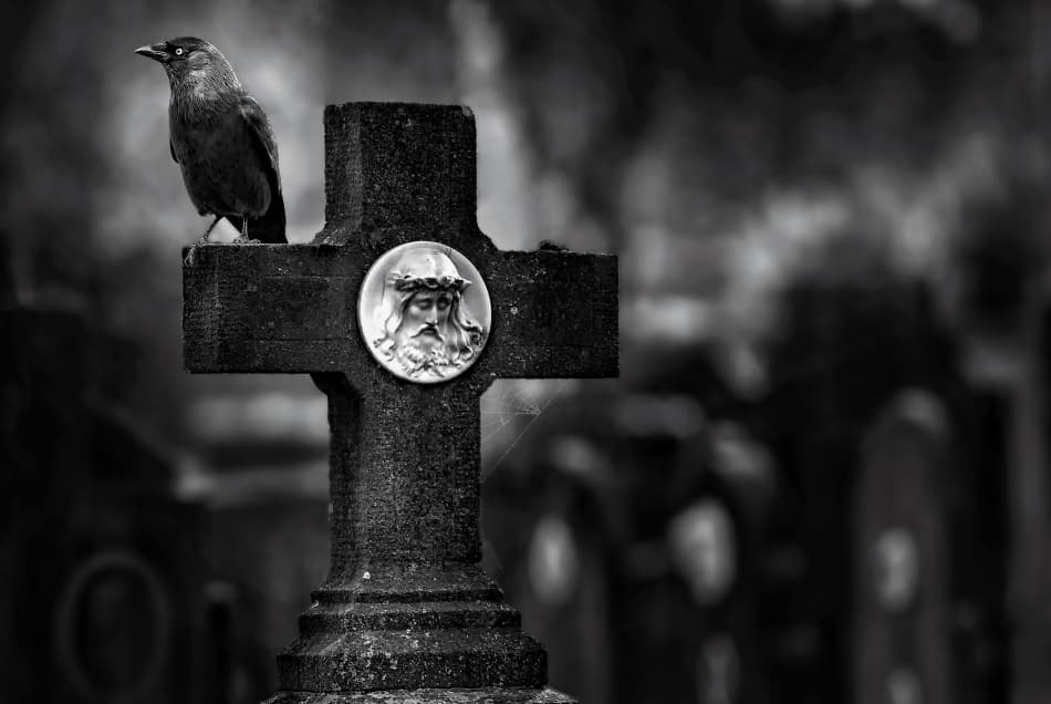 Crow on Cross by Piet Flour — canvas wall art