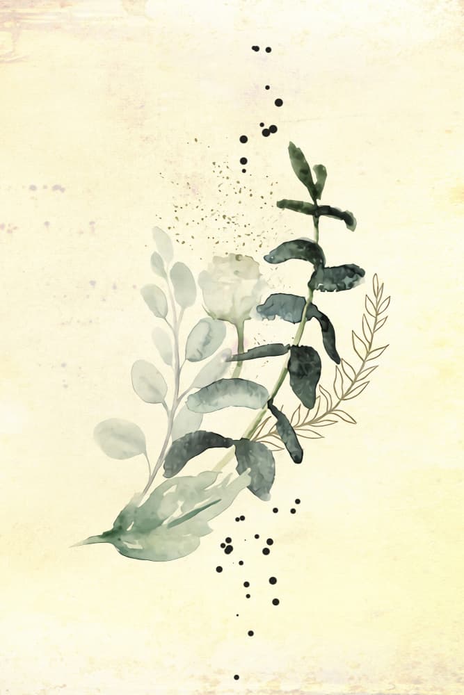 Plants 29 by Rafal Kulik — canvas wall art