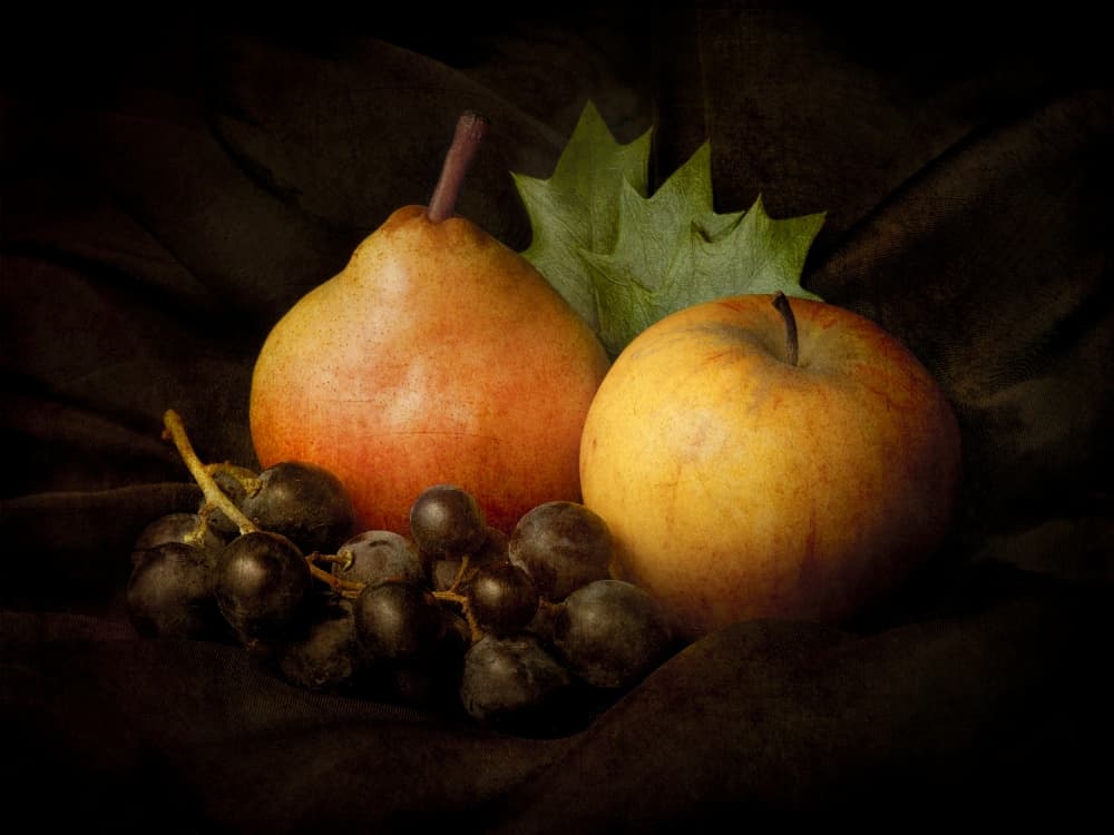 Dark Harvest Still Life by Jerome Zakka Bajjani — canvas wall art