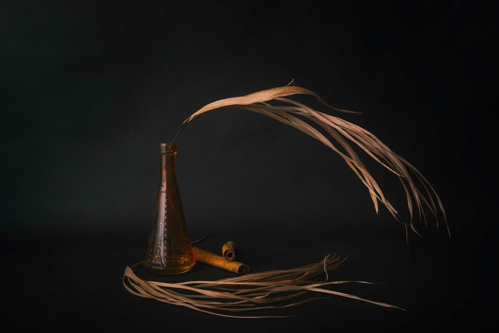 Amber Bottle Dried Botanicals by Cicek Kiral — canvas wall art