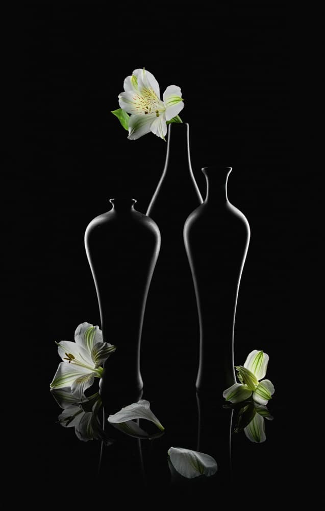 White Flowers Dark Vases by Lydia Jacobs — canvas wall art