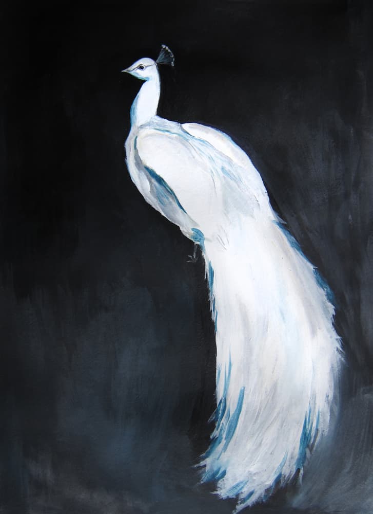 White Peacock Majesty by Christine Lindstrom — canvas wall art