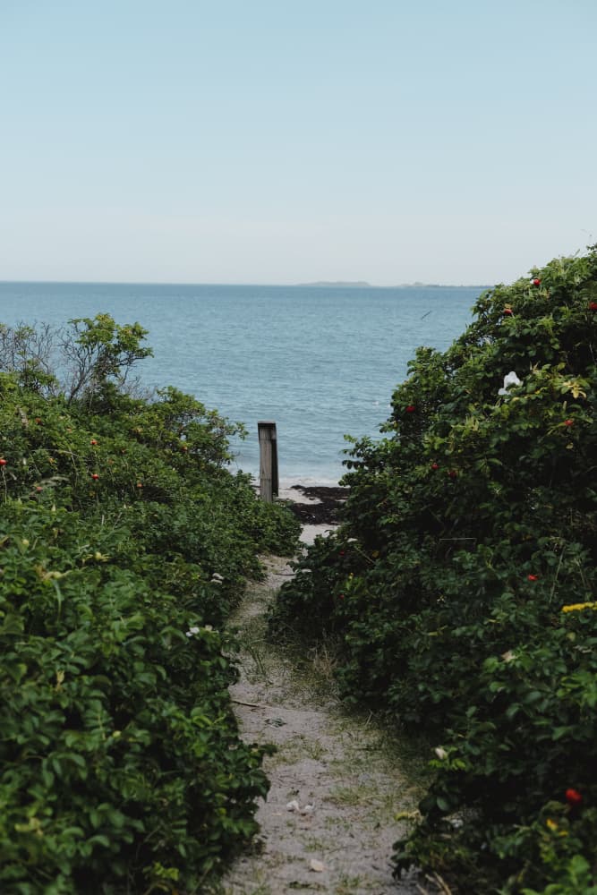 Green Path to the Sea by Olivia Joy StClaire — canvas wall art