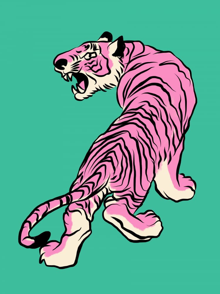 Fierce Pink Tiger by Little Dean — canvas wall art
