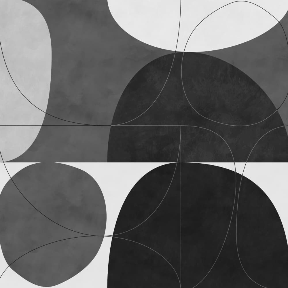 Shapesbw1 Kopie by Ana Rut Bre — canvas wall art
