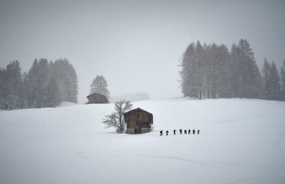 Winter Alpine Journey by Birgith Norelli — canvas wall art