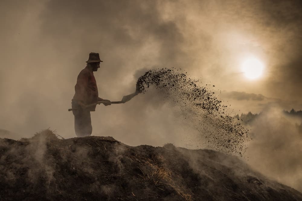 Golden Hour Laborer by Adrian Popan — canvas wall art
