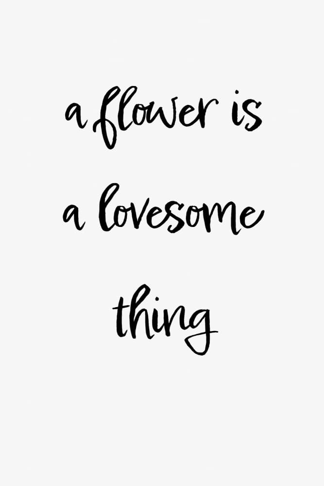 Lovesome Flower Quote by Pictufy Studio II — canvas wall art